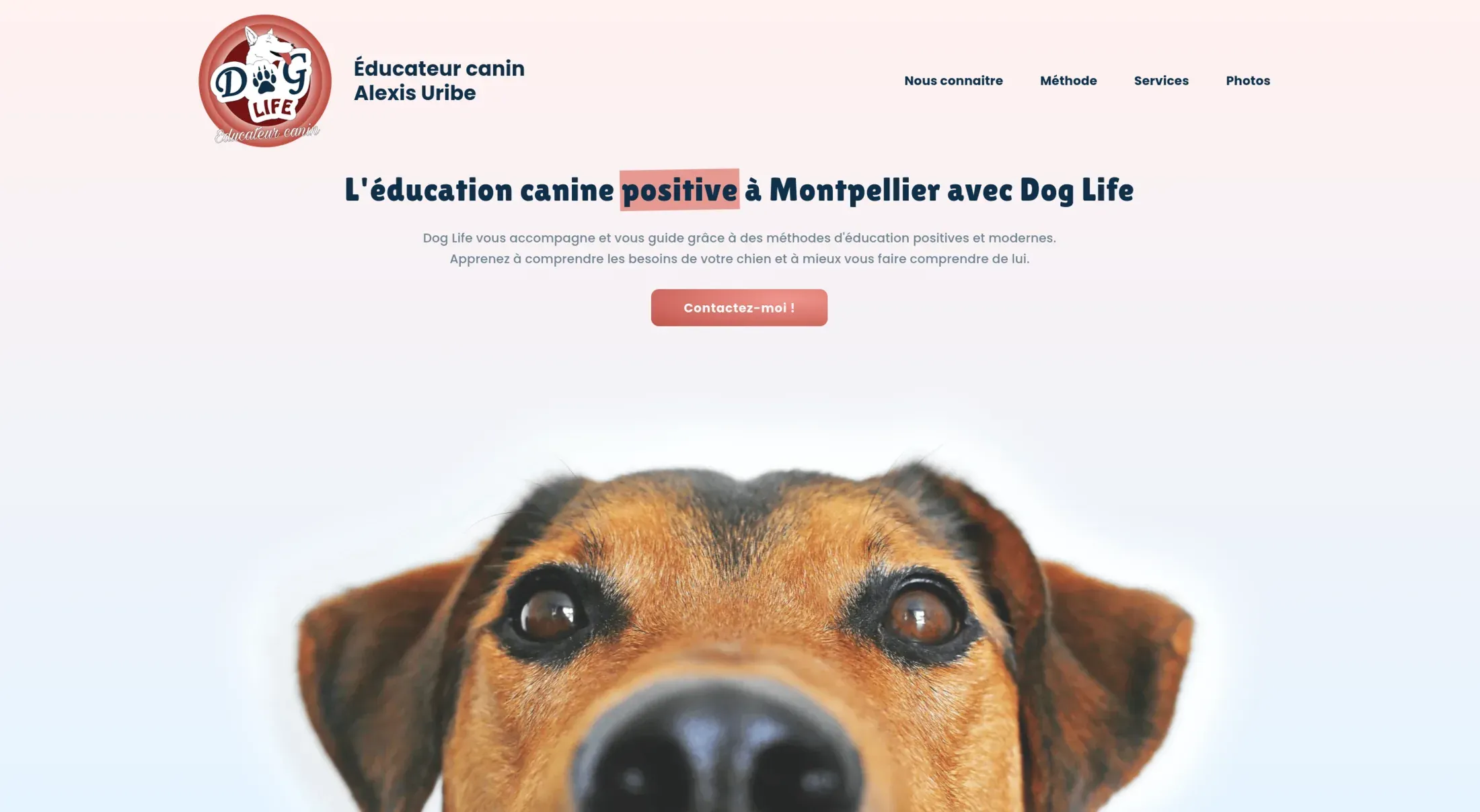 Page d'accueil du site Doglife.