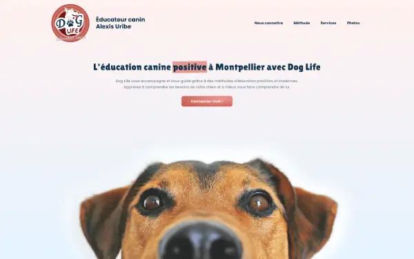 Capture d'écran du projet : Doglife